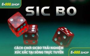 Cách Chơi Sicbo Trải Nghiệm Xúc Xắc Tại Sòng Trực Tuyến