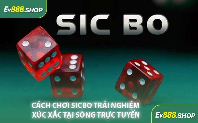 Cách Chơi Sicbo Trải Nghiệm Xúc Xắc Tại Sòng Trực Tuyến
