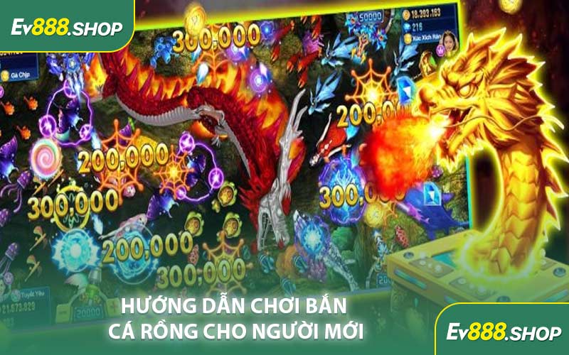 Hướng Dẫn Chơi Bắn Cá Rồng Cho Người Mới