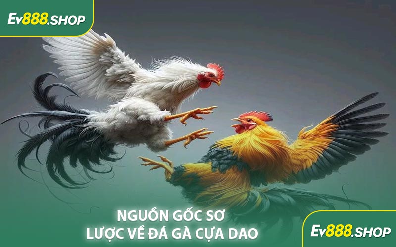 Nguồn Gốc Sơ Lược Về Đá Gà Cựa Dao